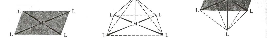 Αριθμός Υβριδισμός Σχήμα συναρμογής 2 sp Γραμμικό 4 sp 3 Τετραεδρικό 4 dsp 2