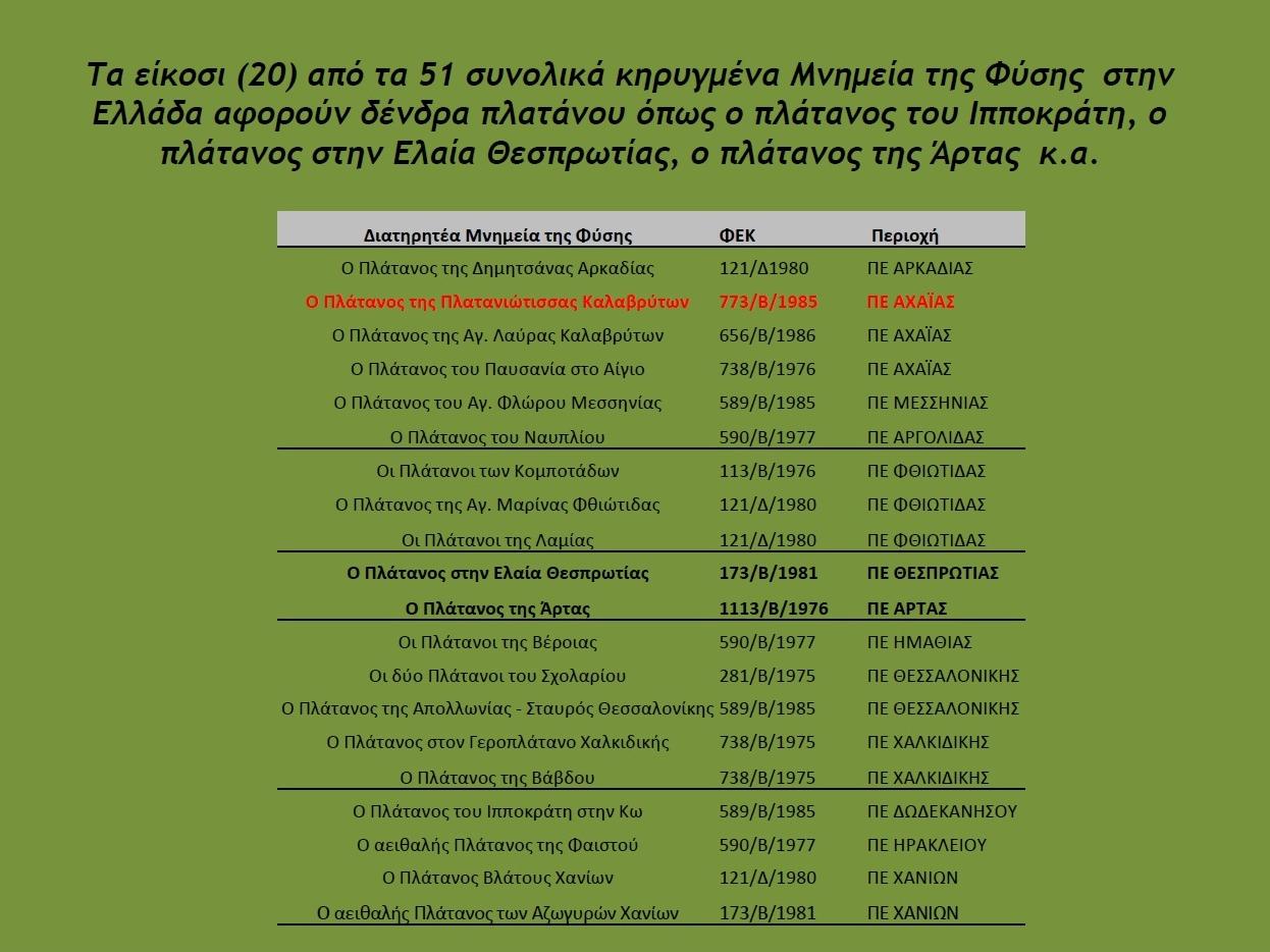 Εισαγωγή Πολλά πλατάνια, κατέχοντας ξεχωριστή θέση στην ζωή