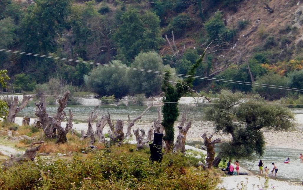 Η κατάσταση