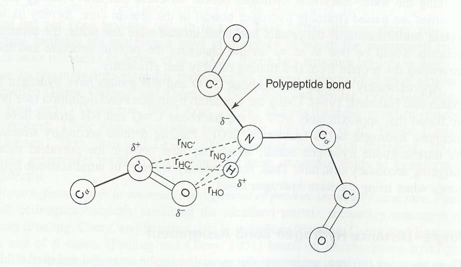 Μοριακή Προσομοίωση Εισαγωγή: Δεσμός Υδρογόνου Γωνία και Απόσταση ατόμων σε Δεσμούς-Η Οι Baker και Hubbard (1984) όρισαν τον δεσμό-η στον σκελετό των πρωτεϊνικών μορίων σύμφωνα με την γωνία Ν-Η.