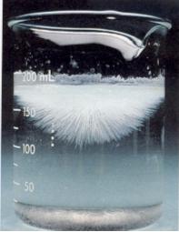 Κρυστάλλωση από ένα υπέρκορο διάλυμα οξικού νατρίου (Α) (Β) (Γ) (Α) Η κρυστάλλωση ξεκινά με την προσθήκη ενός μικρού κρυστάλλου οξικού νατρίου (CH