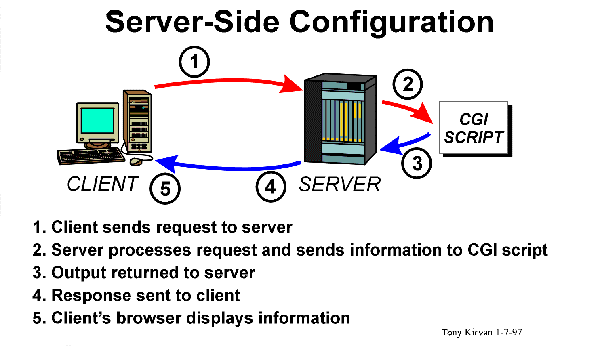 2.2) CGI (Common Gateway Interface) Το Common Gateway Interface (CGI), είναι ένα πρότυπο το οποίο επιτρέπει την αµφίδροµη ροή πληροφοριών µεταξύ browser και server.