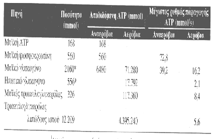 Οξείες και χρόνιες επιδράσεις της άσκησης Πηγές ενέργειας Οι οξείες επιδράσεις προκαλούνται από μία συνεδρία άσκησης και διαρκούν συνήθως από λίγα λεπτά μέχρι λίγες μέρες μετά το τέλος της.