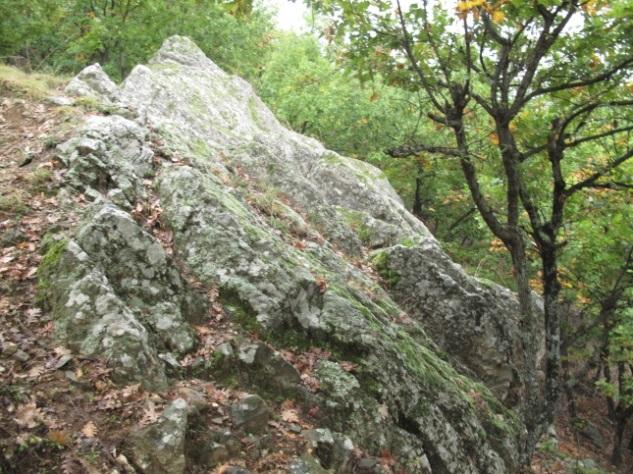 23 Ε) ΙΣΑΙΑ-ΑΛΜΑ Φωτ. 18. Η κύρια εμφάνιση «ενστρωμένου» πηγματιτικού σώματος της περιοχής νότια του οικισμού Ισαία με πάχος 6m που παρακολουθείται για περισσότερα από 1.500 m (βλέπε ακόλουθες Φωτ.