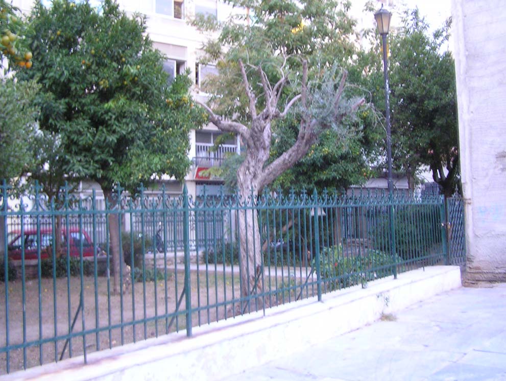 Στην παραπάνω φωτογραφία έχουμε μια άποψη