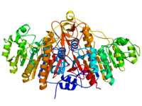 Alkaline Phosphatase (ALP) Ένζυµο που ανήκει στις κατηγορίες φωσφατάσες Ρόλος: αποφωσφορυλιώνει διάφορες οµάδες φωσφορικών από διάφορα βιοµόρια, σε ph 9 Εντοπίζεται: υψηλότερες