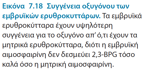 Η εμβρυϊκή ΑΜΦ χρειάζεται να προσδένει Ο 2 ισχυρότερα από μητρική για να ρέει το Ο