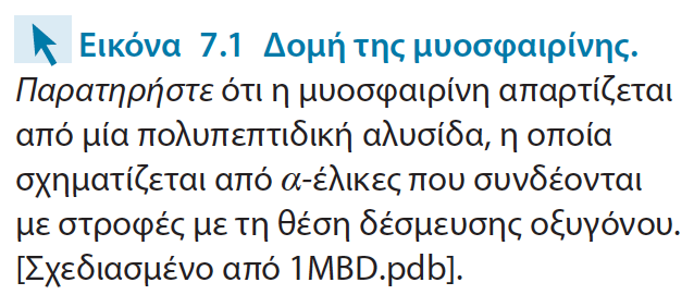 Λόγο των παραπάνω η ΑΣ μπορεί να χρησιμοποιεί αποτελεσματικά το 90% του O 2 που μεταφέρει αντί το 7% τις δυνητικής ικανότητας αιμοσφαιρίνη (ΑΣ) και μυοσφαιρίνη (ΜΣ) έχουν πανομοιότυπες δομές και