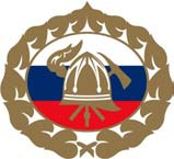GASILSKA ZVEZA SLOVENIJE Tržaška cesta 221 1000 LJUBLJANA T I P I Z A C I J A G A S I L S K I H V O Z I L Tipizacija gasilskih