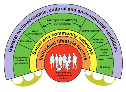 THEORETICAL BACKGROUND determinants of healthy ageing, health