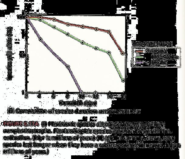 Πιθανότητα εξαφάνισης 2/2 9 8