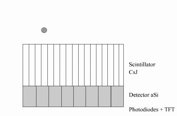 rentgensko sevanje SCINTILATOR svetloba FOTODIODE Signal (el) Matrika fotodiod iz amorfnega silicija
