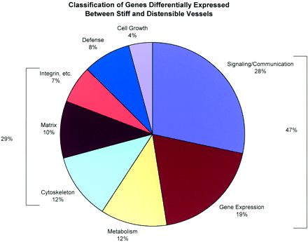 Arterial Stiffness - Determinants Genetic background Durier
