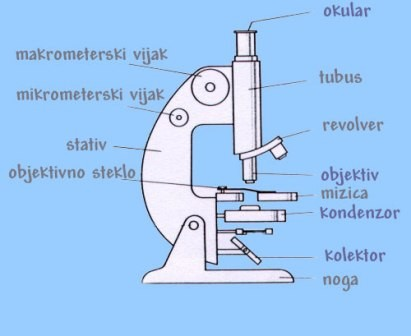 2.Zgradba mikroskopa Mikroskop sestavljajo mehanski in optični deli.