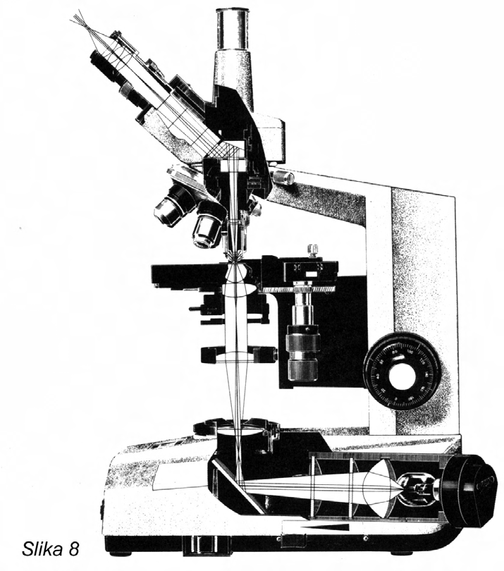 STOJALO MIKROSKOPA Stojalo ali okvir mikroskopa nosi objektive na spodnjem koncu tubusa, ki je obrnjen proti objektu. Običajno je na stojalo pritrjen revolver, v katerem je privitih več objektivov.