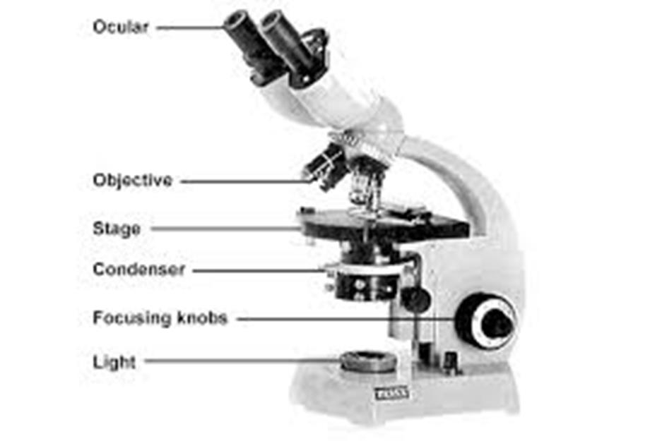 3. Kako "vidjeti" nanostrukture Nužan preduvjet za razvoj nanotehnologije bila je pojava novih moćnih mikroskopa koji su omogućili promatranje i manipuliranje predmetima na udaljenosti od 1 nm.