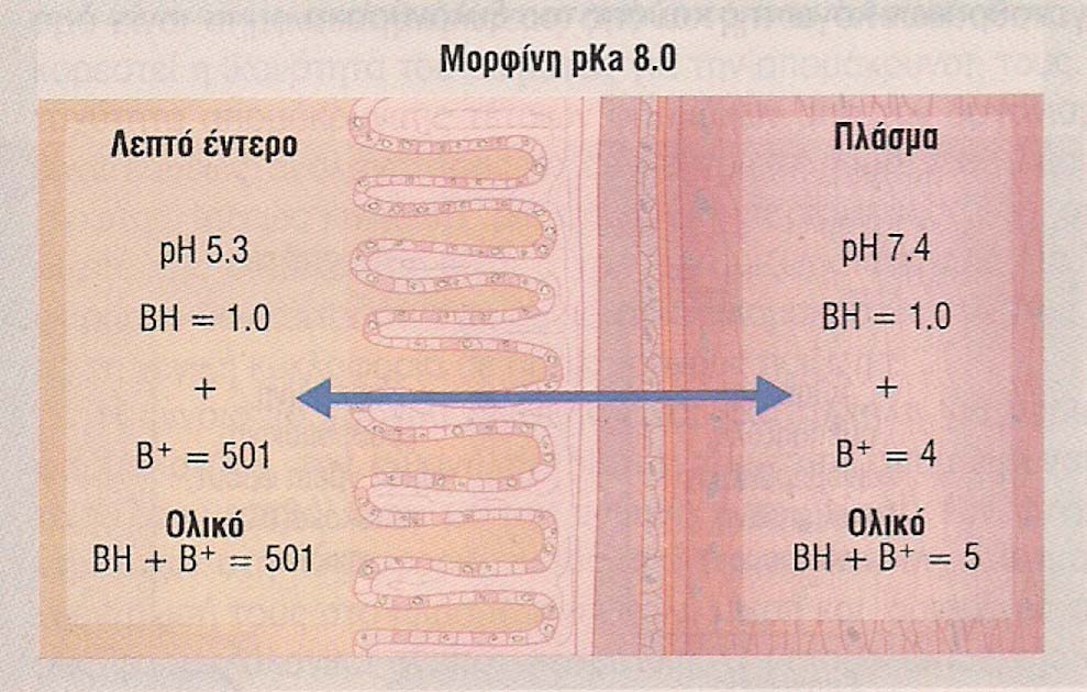 ΣΗΜΑΣΙΑ ΤΟΥ ΙΟΝΙΣΜΟΥ Η κατανοµή ενός όξινου (ναπροξένη) και ενός βασικού φαρµάκου (µορφίνη) µεταξύ 2 διαµερισµάτων.