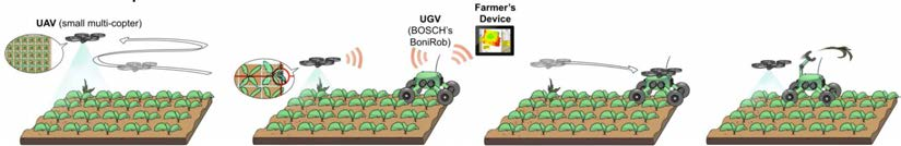 Precision Agriculture Crop