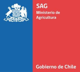 Servicio Agrícola y Ganadero División Protección Agrícola y Forestal Subdepartamento de Viñas y Vinos,