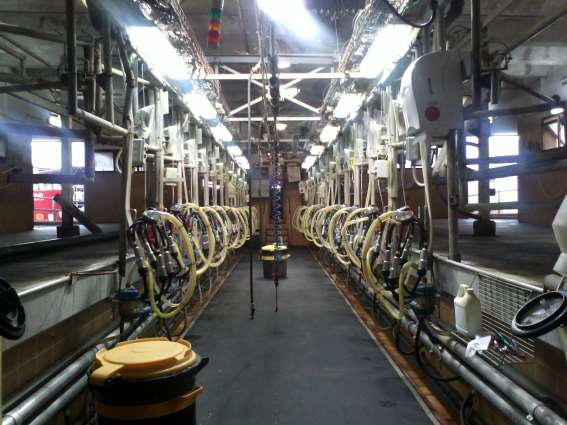 Mόνιμες με δίκτυο σωληνώσεων (Pipe-line type) 2/2 Εικόνα 18.
