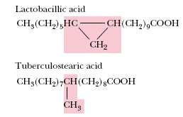 Λιπαρά οξέα (1) Μονοκαρβονικά οργανικά οξέα Σχεδόν πάντα άρτιος ο αριθµός C Οι διπλοι δεσµοί είναι -cis-