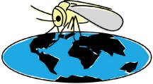 Γκεμένωζε γηα οκέδνηα 6 th International Bemisia Workshop 20-24 May 2013 Kolymbari, Crete, Greece Πνώηε ακαθμίκωζε To γέκμξ Bemisia θαη εηδηθόηενα ημ ζύμπιεγμα εηδώκ Bemisia tabaci πενηιαμβάκεη