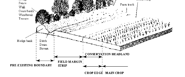 Οικολογική σηµασία της γεωργίας Κύρια δοµικά