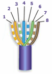 568-Α 568-Β πολικότητα πολικότητα T/R T/R 3 1 2 4 2 1 3 4 1 2 3 4 5 6 7 8 1 2 3 4 5 6 7 8 568-A 568-B 1 2 3 4 σχήµα καλωδίωσης 568-A 568-Β ζεύγος καλώδιο ακροδέκτης ακροδέκτης λευκό/µπλε 1 λευκό/µπλε