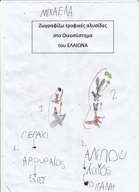 ΑΝΘΡΩΠΟΓΕΝΕΣ ΠΕΡΙΒΑΛΛΟΝ ΚΑΙ ΑΛΛΗΛΕΠΙΔΡΑΣΗ Τα παιδιά μίλησαν για τις τροφικές αλυσίδες,