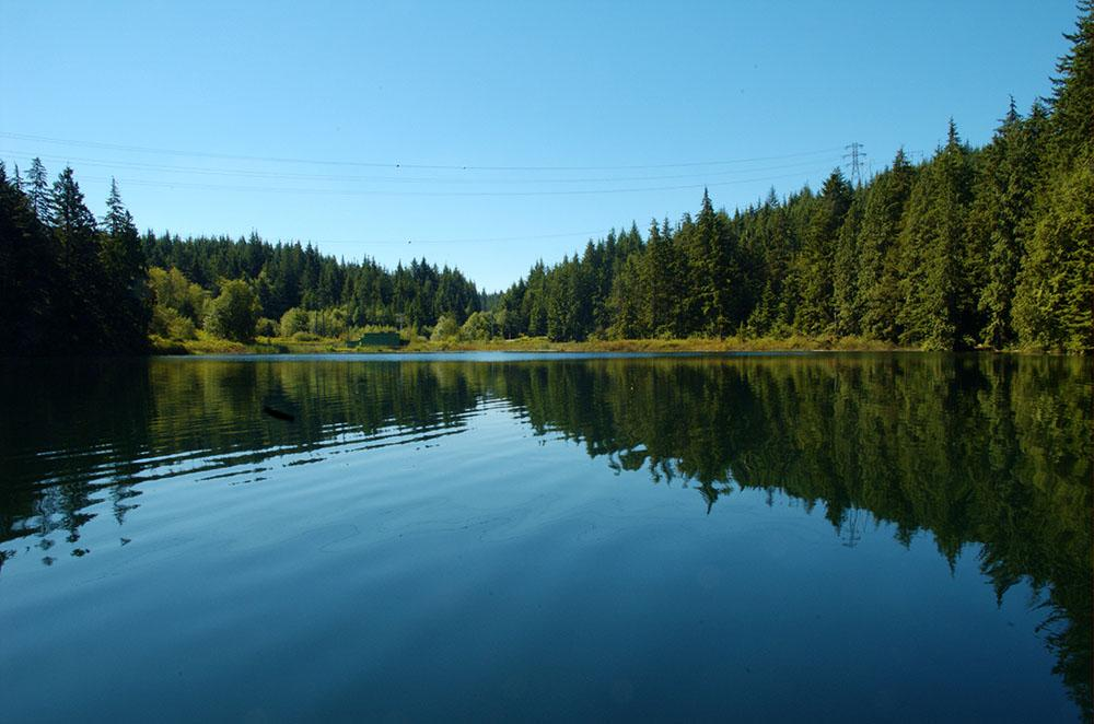 Το φαινόμενο «Lake Wobegon» Οι περισσότεροι άνθρωποι έχουν την τάση να υπερεκτιμούν τους εαυτούς τους σε σχέση με το «μέσο άνθρωπο».