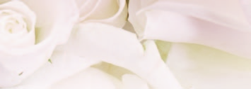 Για την αγαπημένη μου γυναίκα, Emma Bruce Willis Lovingly by Bruce Willis ΑΡΩΜΑ 50 ml 3630 Ελλάδα: 38,90 Κύπρος: 36,90 Τραγούδι Αγάπης Πως μπορώ να κρατήσω την ψυχή μου να μη σε αγγίξει; Πώς μπορώ να