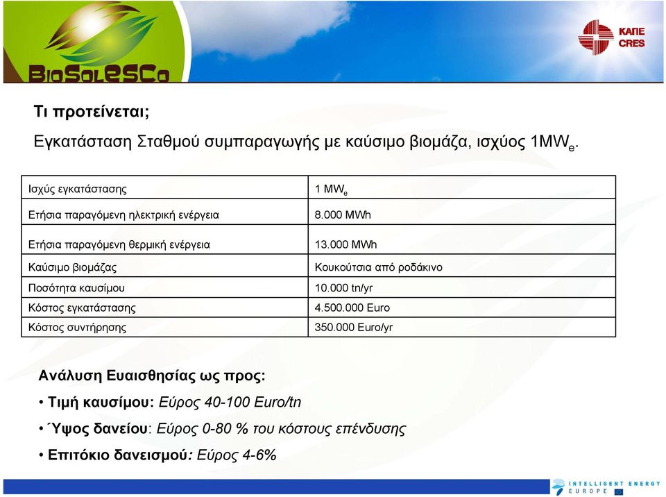 καυσίμου Κόστος εγκατάστασης Κόστος συντήρησης 1MW e 8.000 MWh 13.000 MWh Κουκούτσια από ροδάκινο 10.000 tn/yr 4.500.