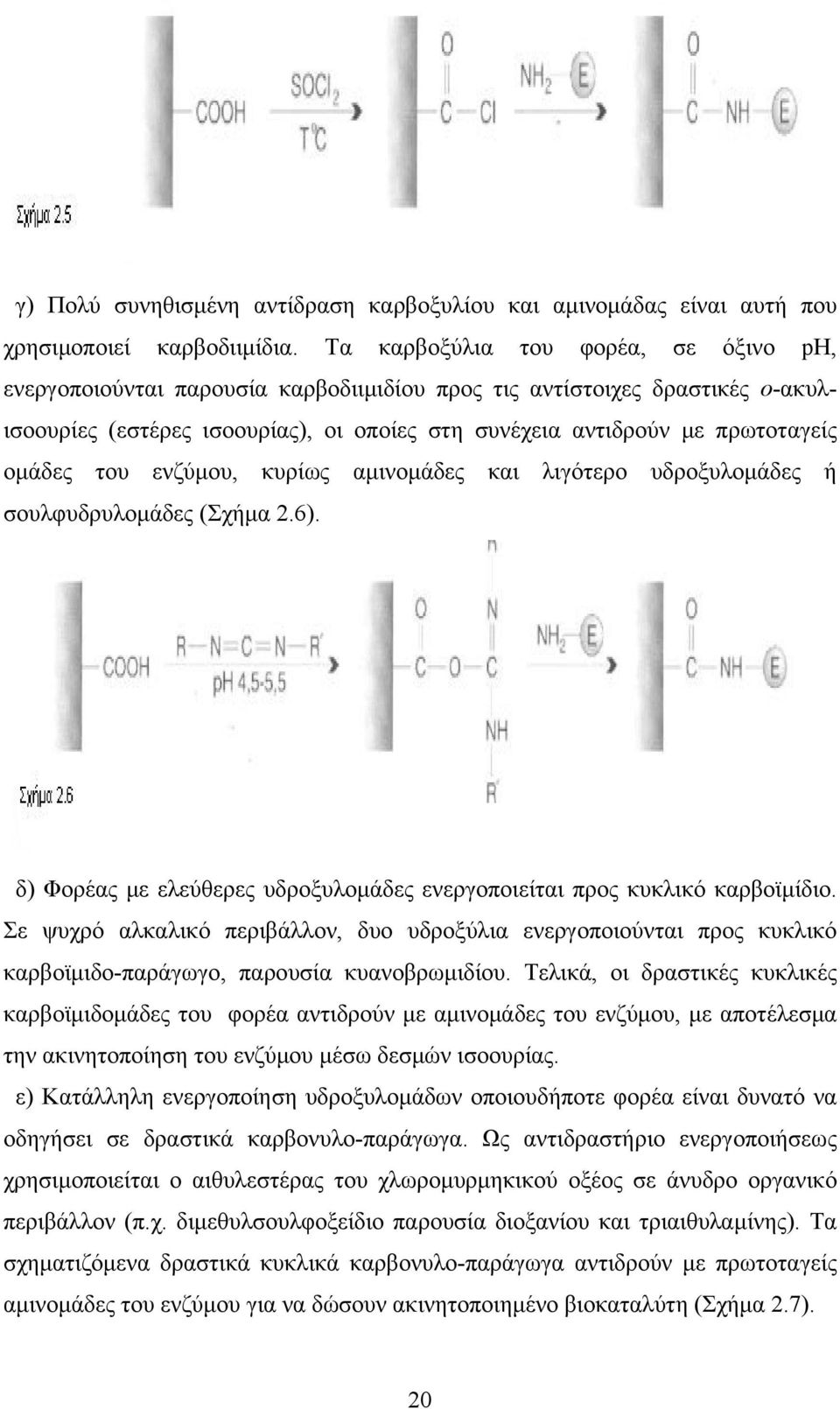 ομάδες του ενζύμου, κυρίως αμινομάδες και λιγότερο υδροξυλομάδες ή σουλφυδρυλομάδες (Σχήμα 2.6). δ) Φορέας με ελεύθερες υδροξυλομάδες ενεργοποιείται προς κυκλικό καρβοϊμίδιο.