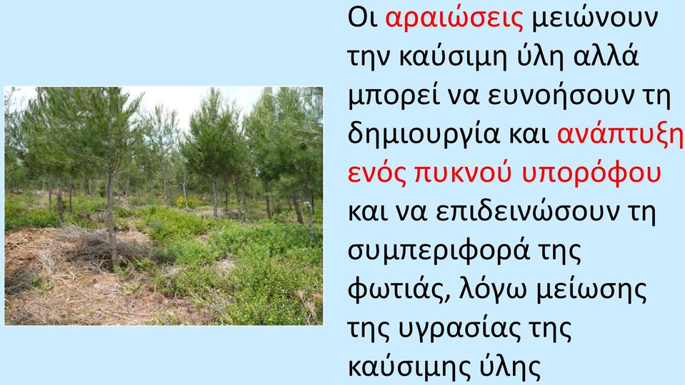 πυκνού υπορόφου και να επιδεινώσουν τη συμπεριφορά