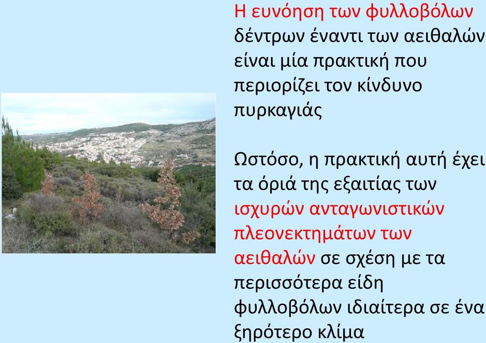 όριά της εξαιτίας των ισχυρών ανταγωνιστικών πλεονεκτημάτων των