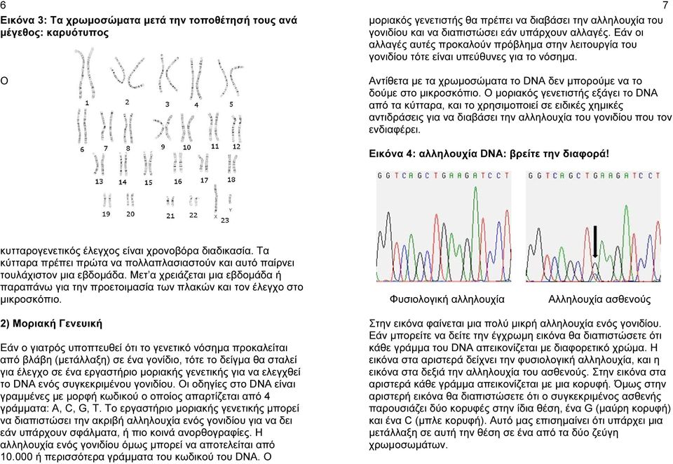Ο µοριακός γενετιστής εξάγει το DNA από τα κύτταρα, και το χρησιµοποιεί σε ειδικές χηµικές αντιδράσεις για να διαβάσει την αλληλουχία του γονιδίου που τον ενδιαφέρει.
