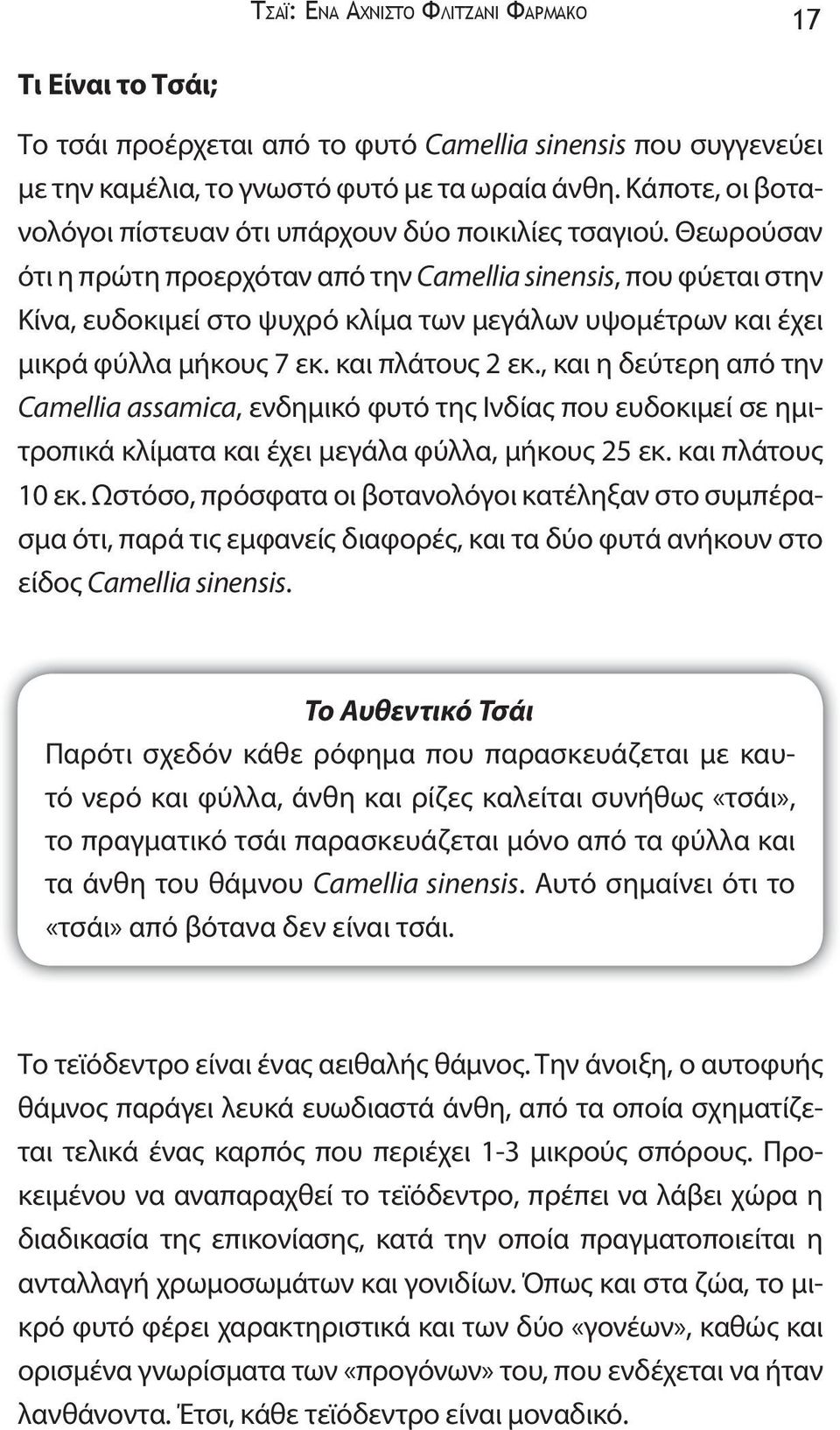 Θεωρούσαν ότι η πρώτη προερχόταν από την Camellia sinensis, που φύεται στην Κίνα, ευδοκιμεί στο ψυχρό κλίμα των μεγάλων υψομέτρων και έχει μικρά φύλλα μήκους 7 εκ. και πλάτους 2 εκ.