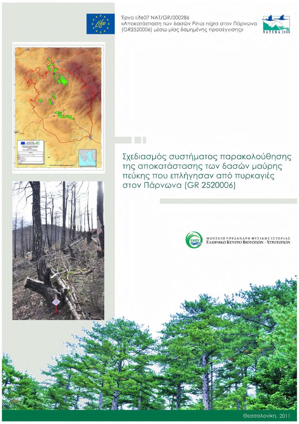 αποκατάστασης των δασών μαύρης πεύκης που επλήγησαν από πυρκαγιές στον Πάρνωνα (GR