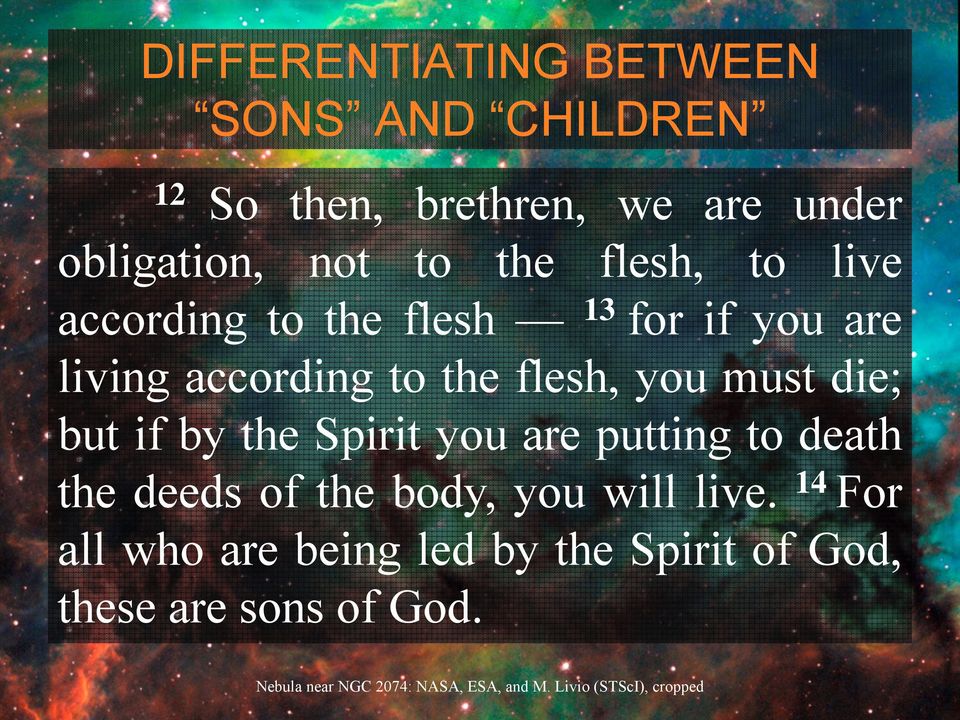 flesh, you must die; but if by the Spirit you are putting to death the deeds of the
