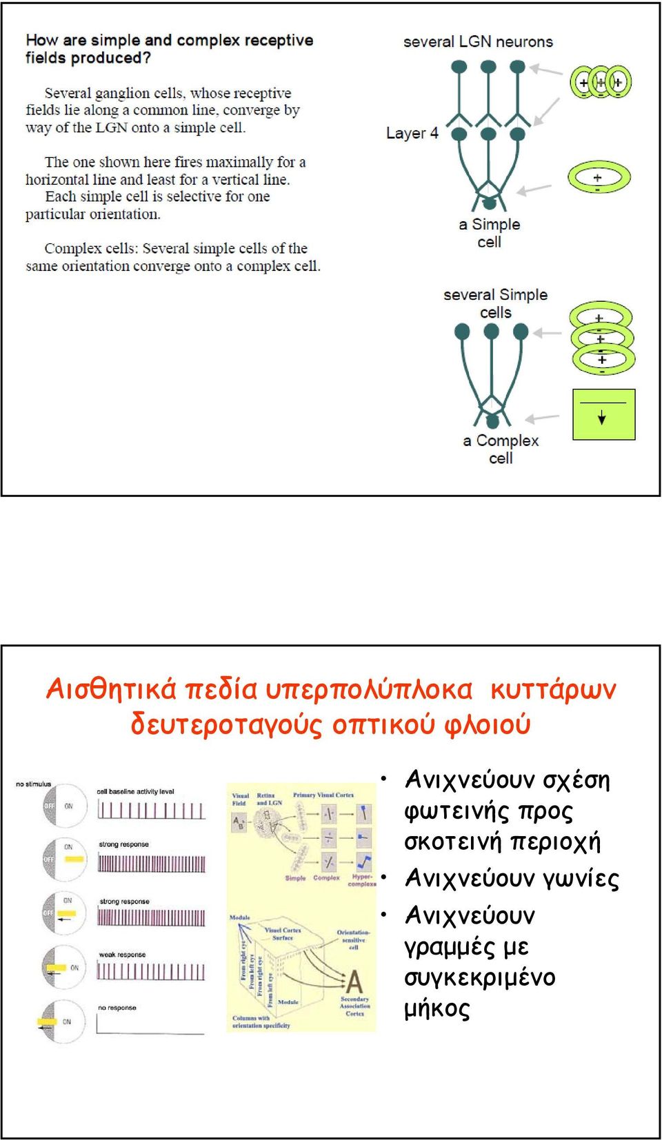 σχέση φωτεινής προς σκοτεινή περιοχή