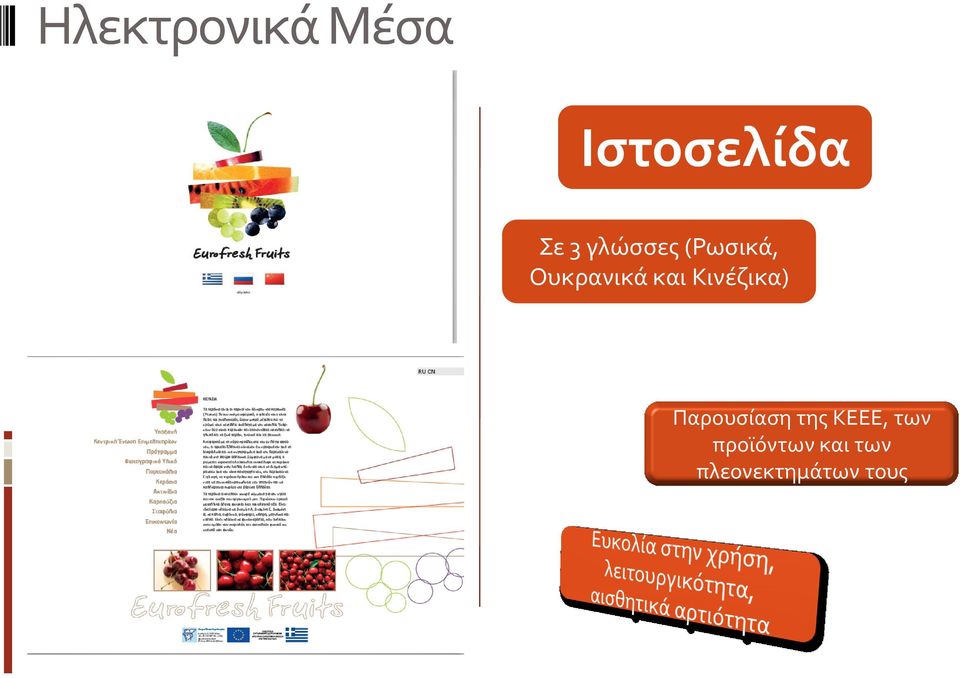 Κινέζικα) Παρουσίαση της ΚΕΕΕ,