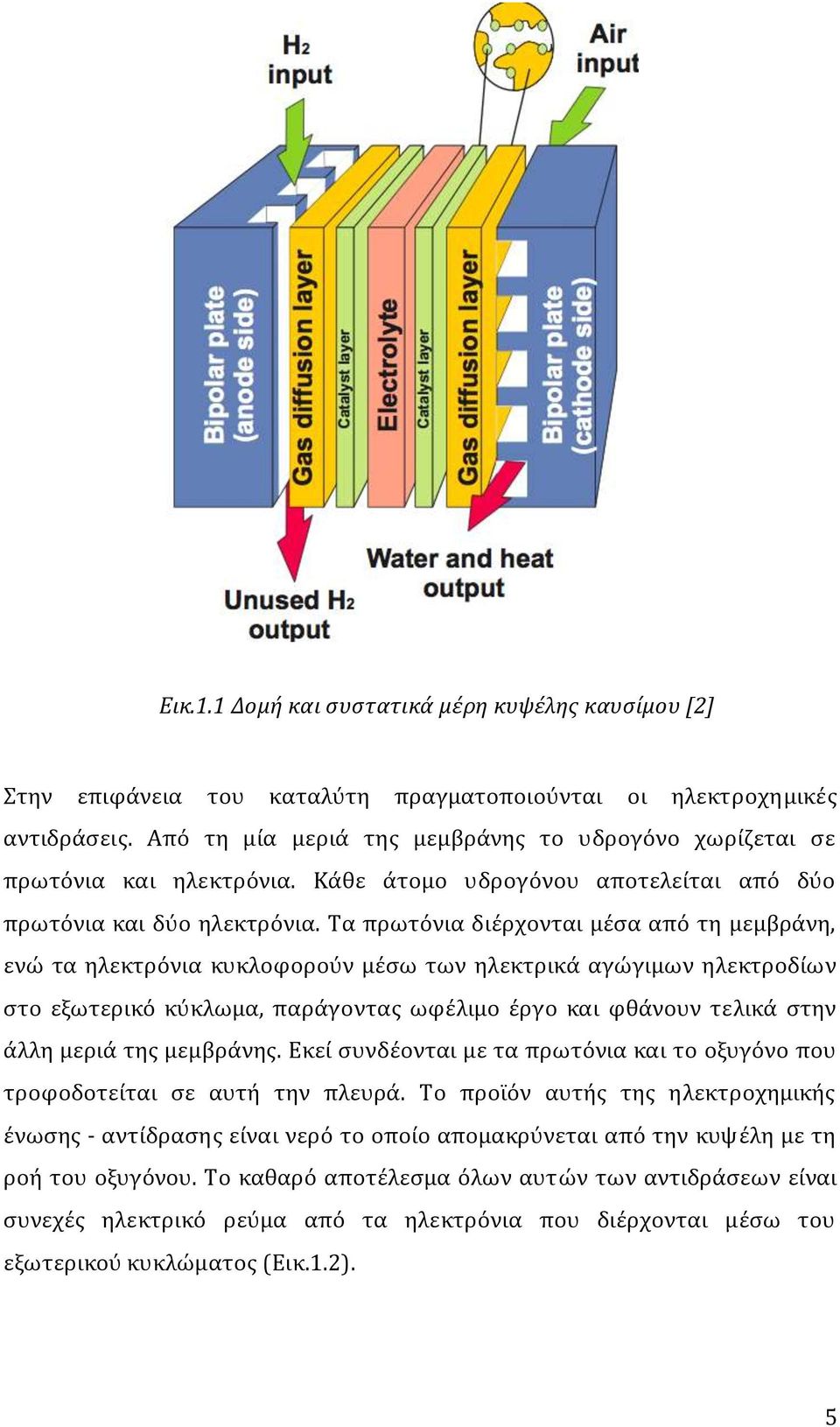 Σα πρωτόνια διϋρχονται μϋςα από τη μεμβρϊνη, ενώ τα ηλεκτρόνια κυκλοφορούν μϋςω των ηλεκτρικϊ αγώγιμων ηλεκτροδύων ςτο εξωτερικό κύκλωμα, παρϊγoντασ ωφϋλιμο ϋργο και φθϊνουν τελικϊ ςτην ϊλλη μεριϊ