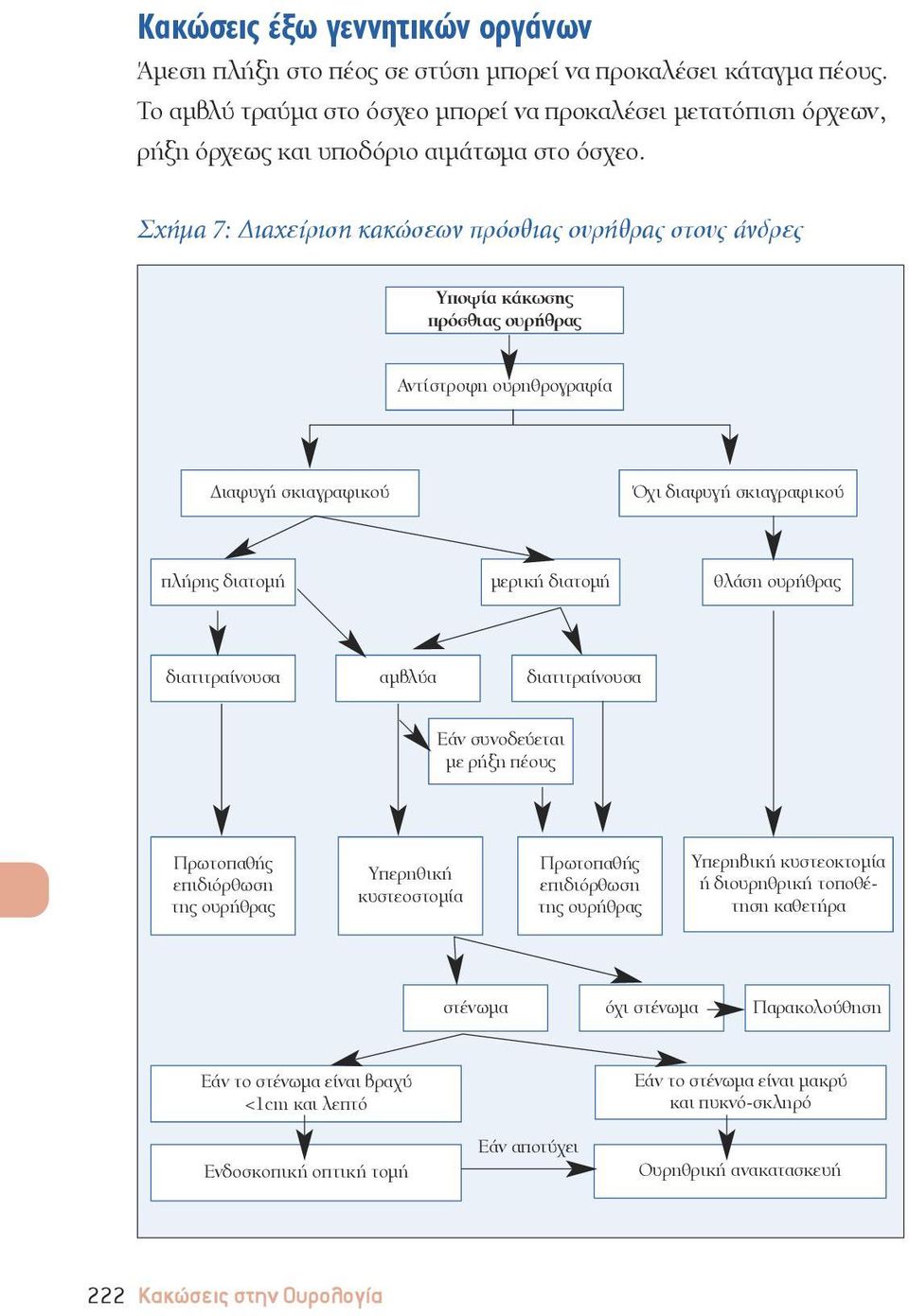 Σχήμα 7: Διαχείριση κακώσεων πρόσθιας ουρήθρας στους άνδρες Υποψία κάκωσης πρόσθιας ουρήθρας Αντίστροφη ουρηθρογραφία Διαφυγή σκιαγραφικού Όχι διαφυγή σκιαγραφικού πλήρης διατομή μερική διατομή θλάση