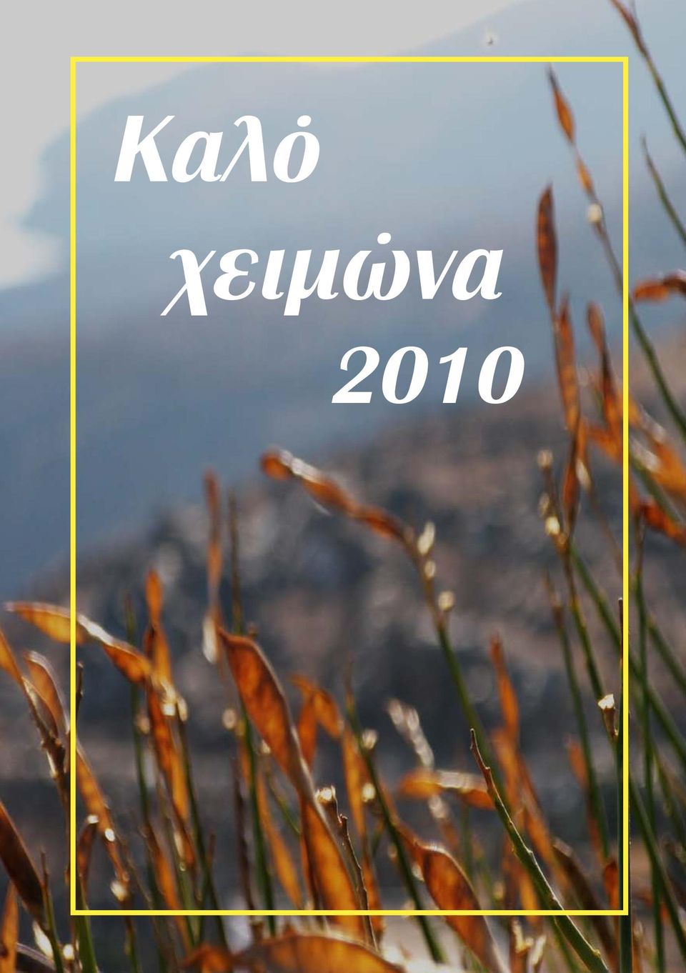 2010