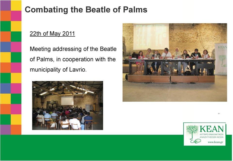 Beatle of Palms, in cooperation with