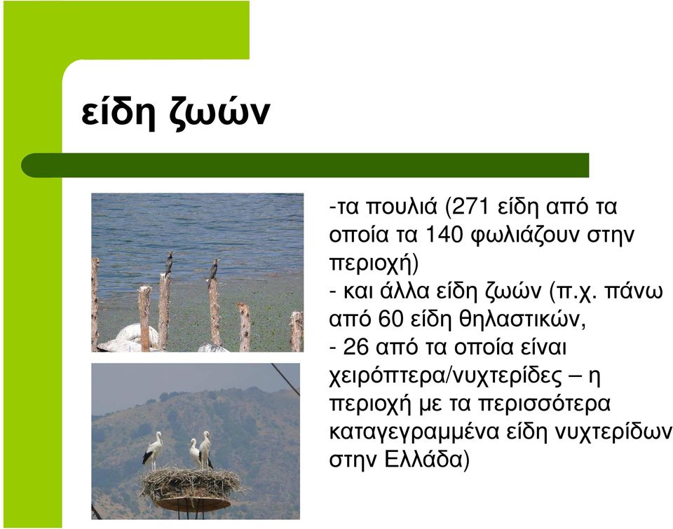 ) - και άλλα είδη ζωών (π.χ.
