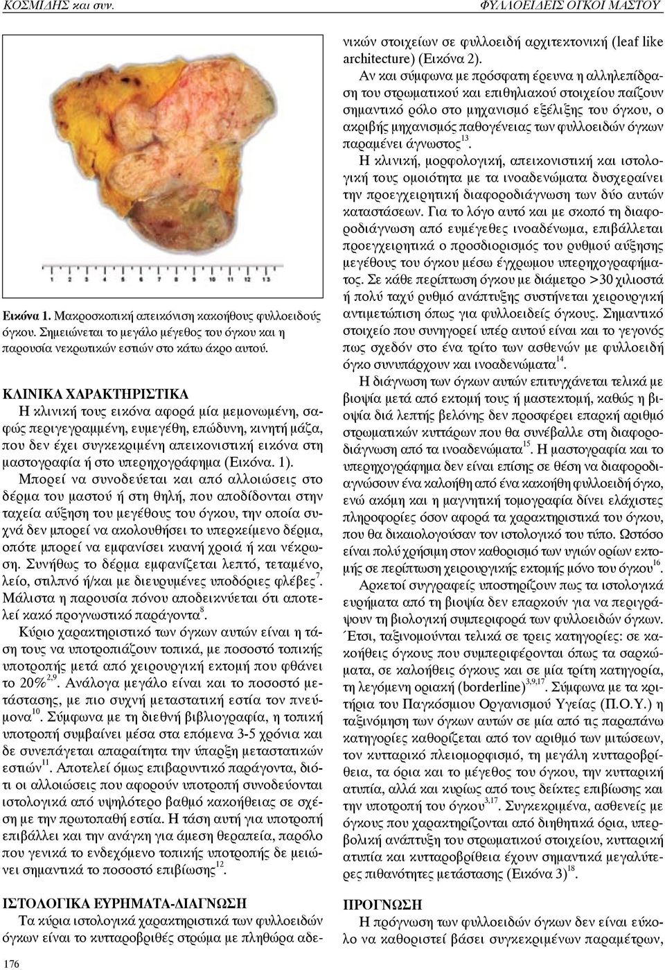 υπερηχογράφημα (Εικόνα. 1).