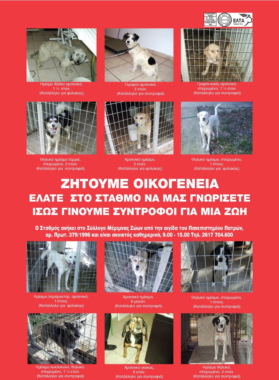 (Κατάλληλο για φύλακας) ΖΗΤΟΥΜΕ ΟΙΚΟΓΕΝΕΙΑ ΕΛΑΤΕ ΣΤΟ ΣΤΑΘΜΟ ΝΑ ΜΑΣ ΓΝΩΡΙΣΕΤΕ ΙΣΩΣ ΓΙΝΟΥΜΕ ΣΥΝΤΡΟΦΟΙ ΓΙΑ ΜΙΑ ΖΩΗ Ο Σταθμός ανήκει στο Σύλλογο Μέριμνας Ζώων υπό την αιγίδα του Πανεπιστημίου