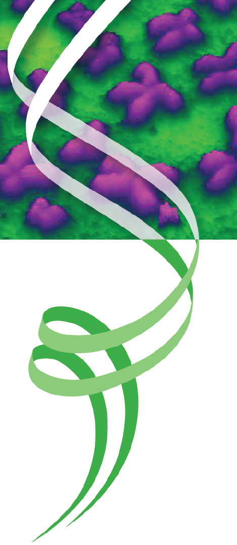 Κεφάλαιο 9 Η παρεµβολή RNA