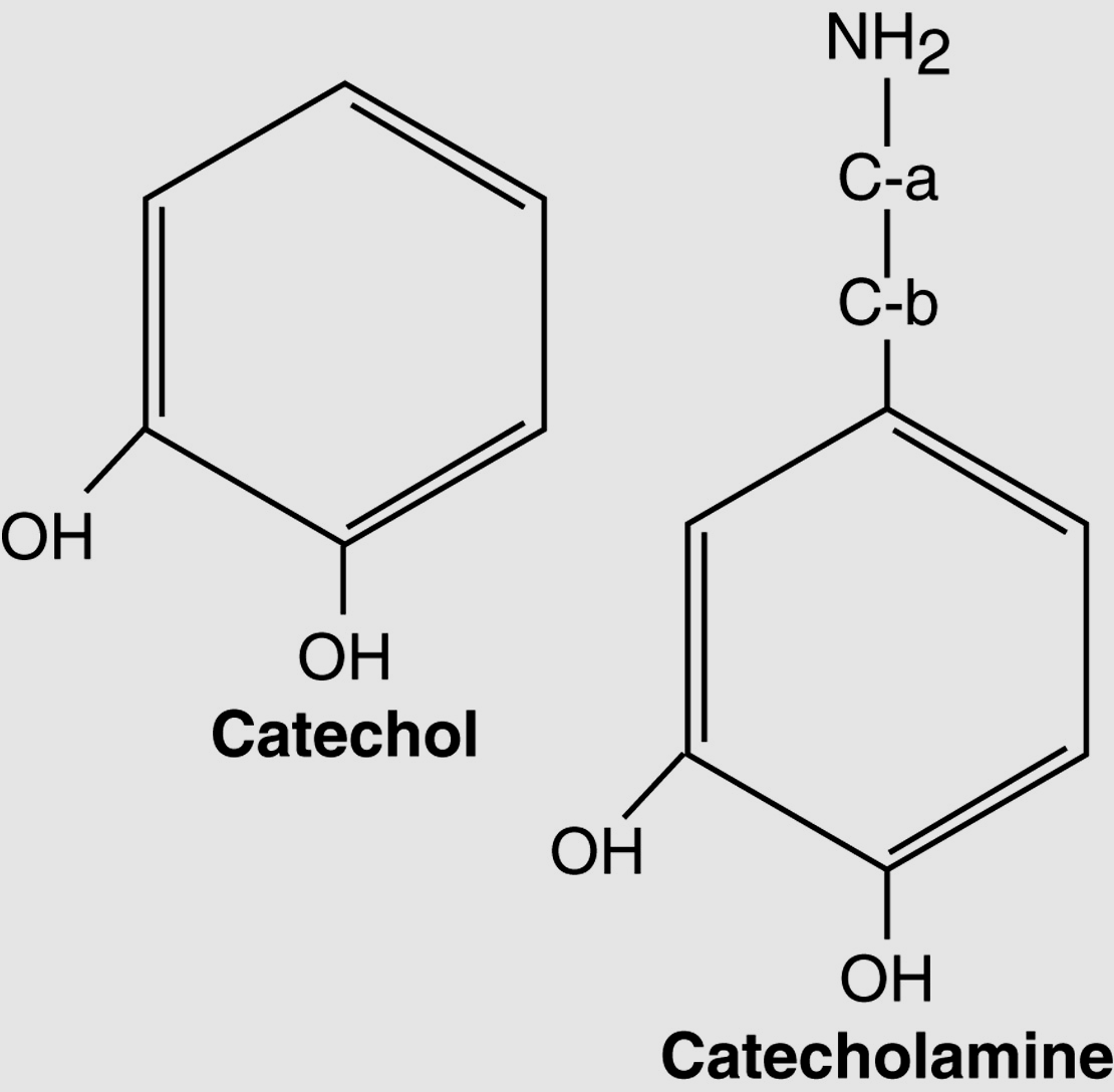 Κατεχολαµίνες Ντοπαµίνη
